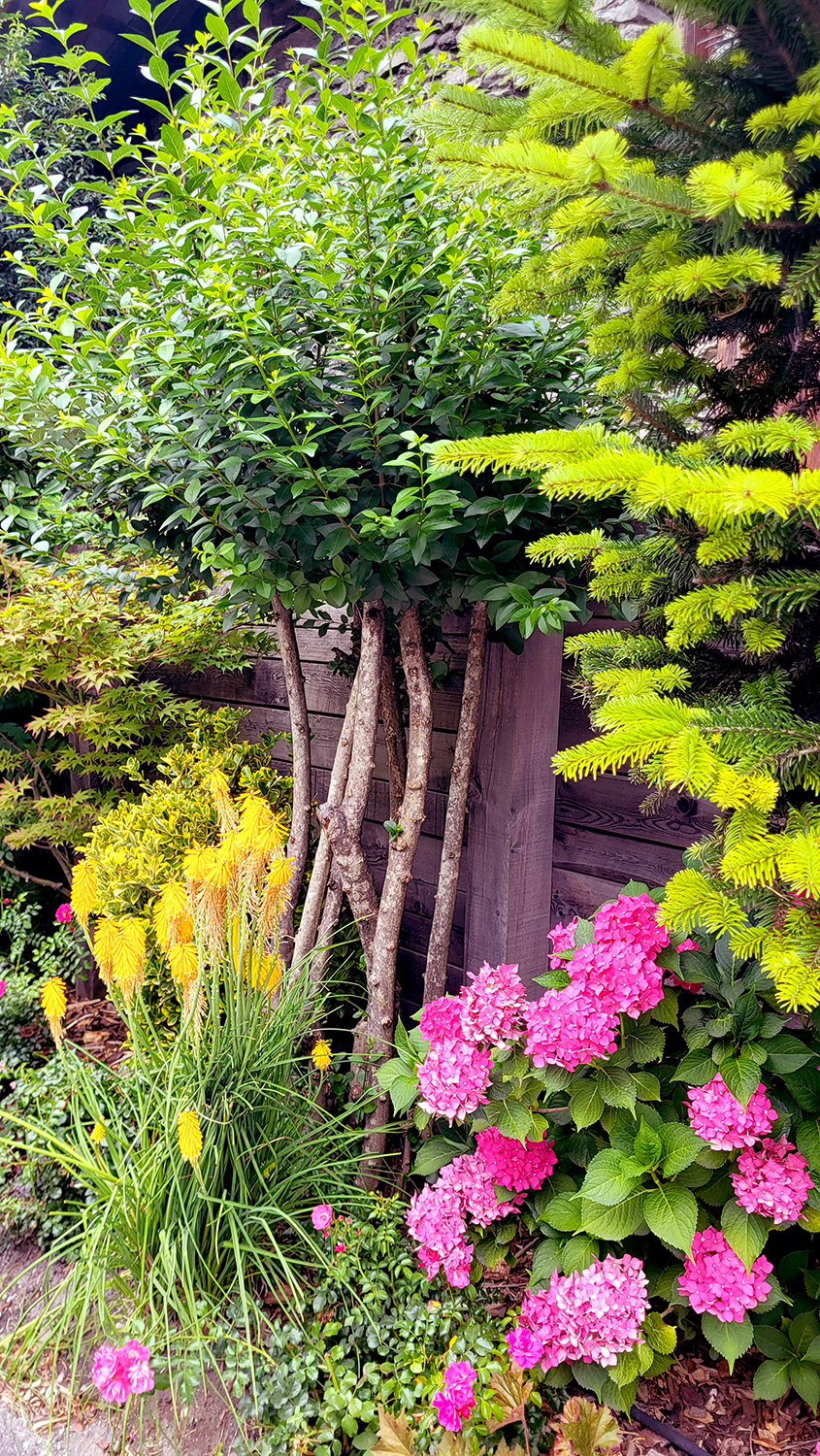 bergerie du miravidi 25 trappeur jardin 2