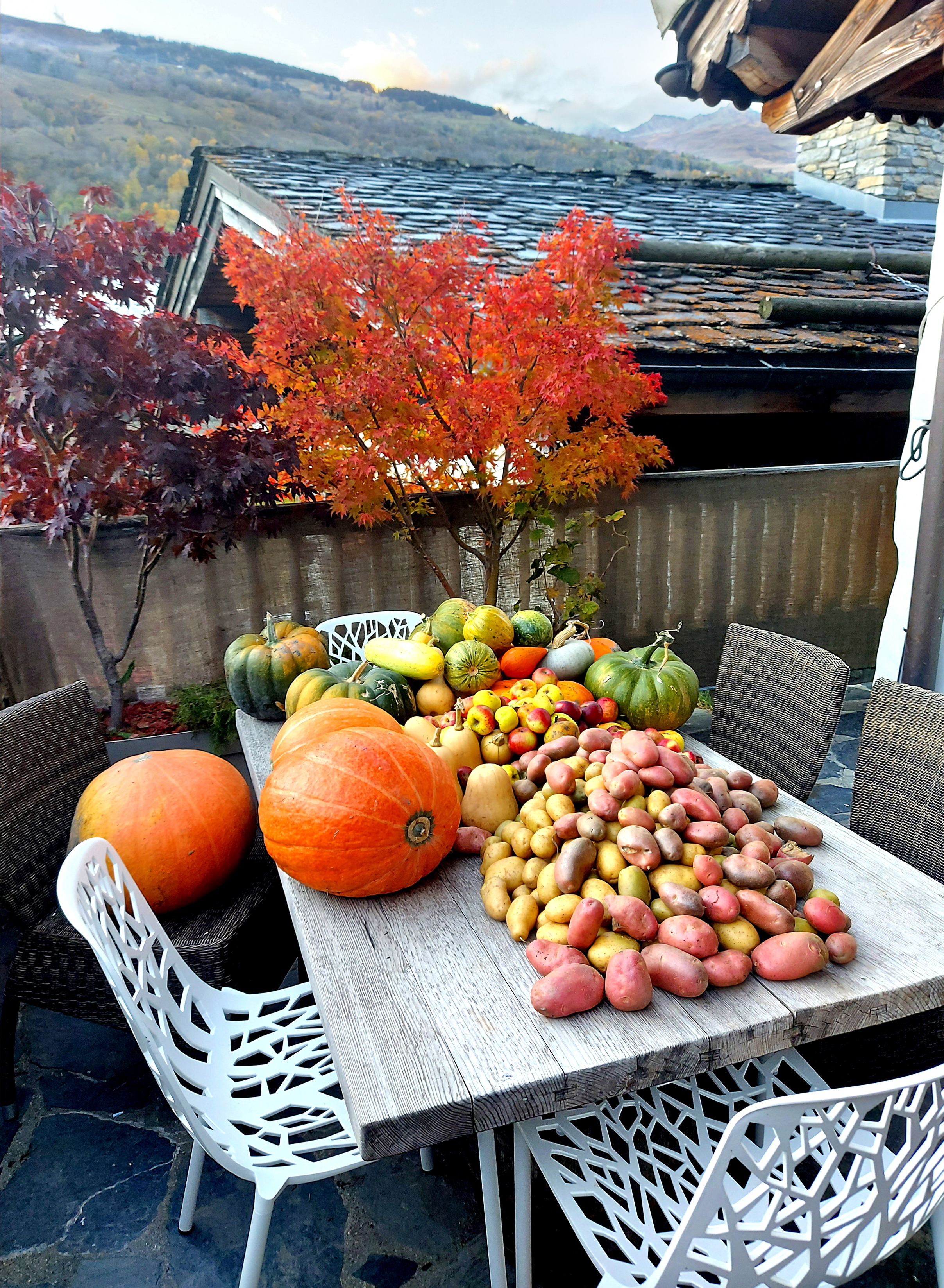 presentation-terrasse--jardin-1