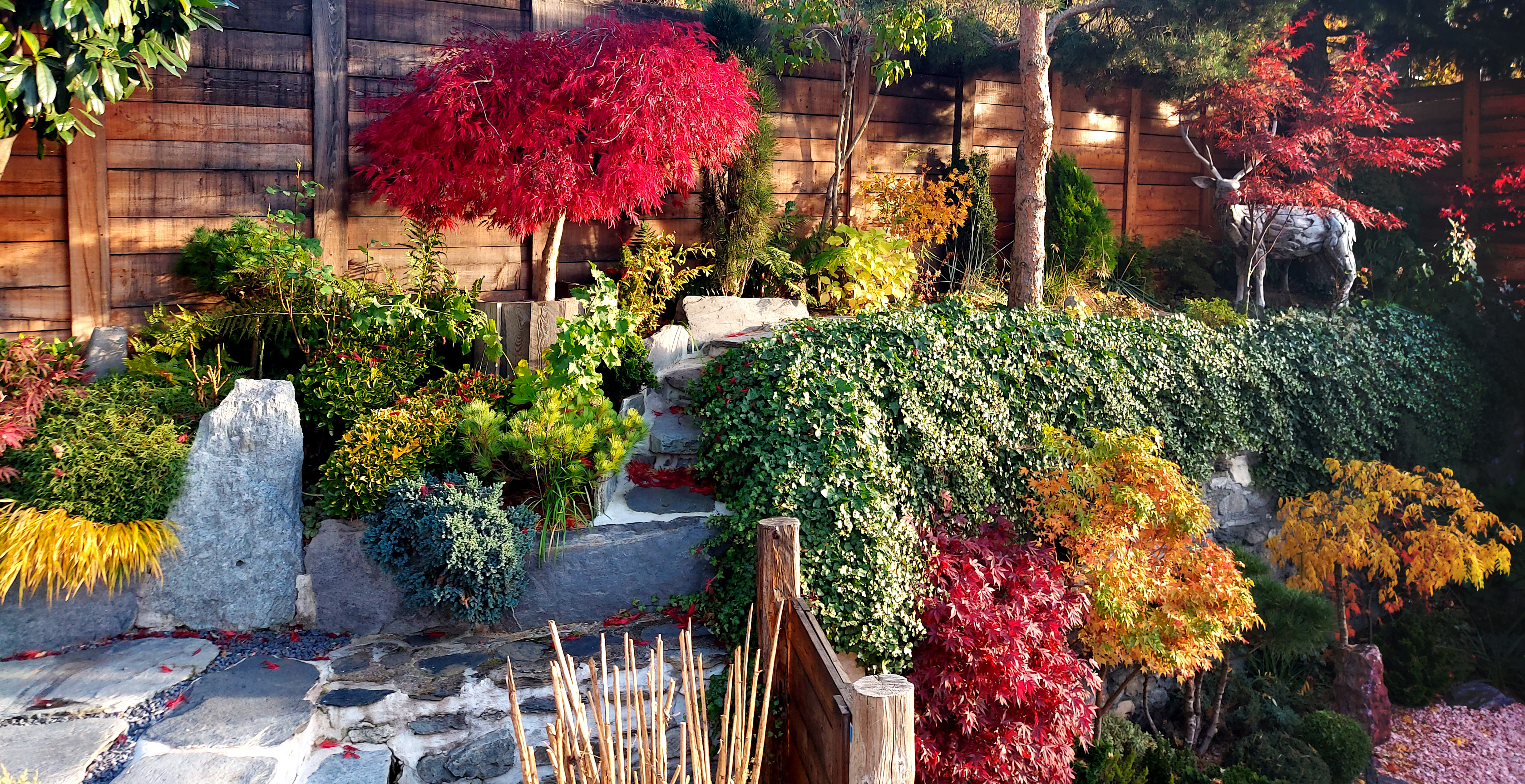 presentation-terrasse-jardin