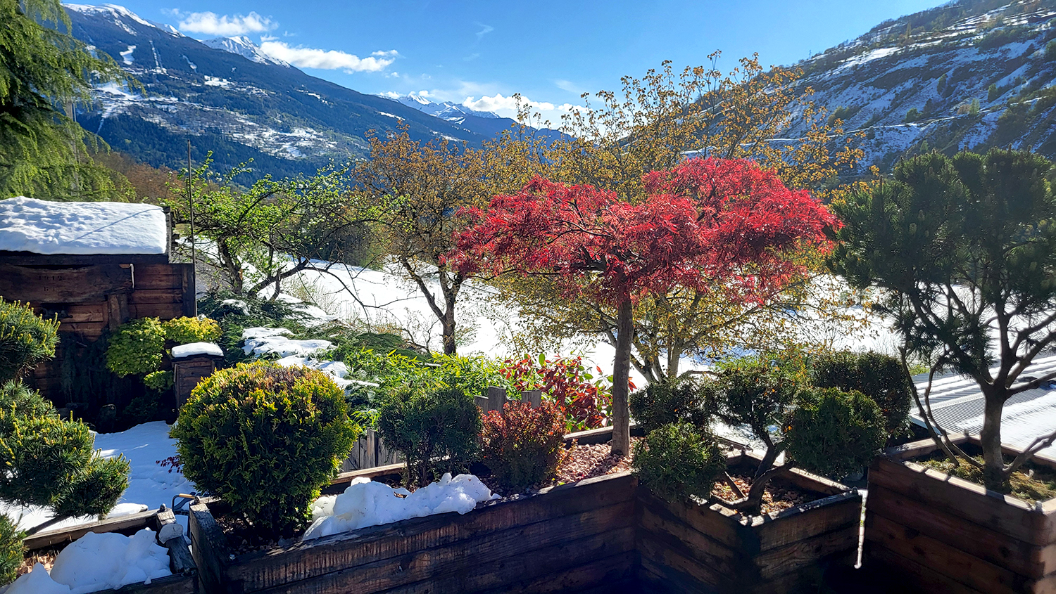 terrasse hiver 25